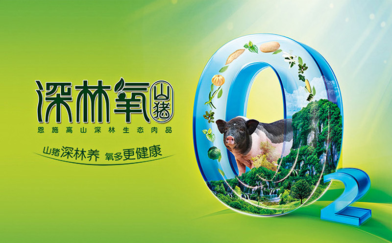 長太生生豬品牌設計 重慶深林氧山豬，搶好位，贏大勢！